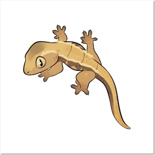 Crested Gecko 3 Posters and Art